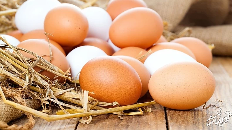 تخم مرغ کیلویی چند؟